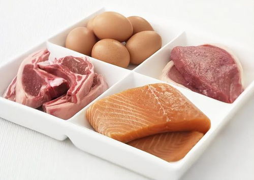 蛋白質對老年人有多重要 醫生提醒 60歲后多吃這些高蛋白才健康