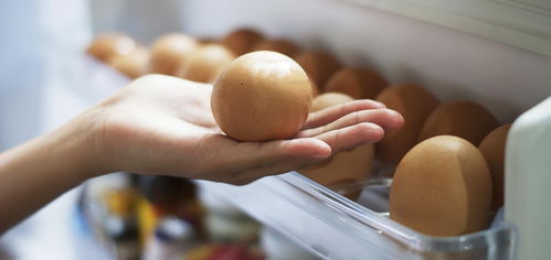 衛生 駐馬店新聞 駐馬店廣視網